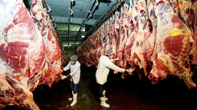 daging kerbau, daging impor, Bulog, Lebaran 2023