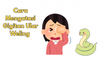Cara Mengatasi Gigitan Ular Weling