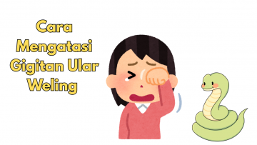Cara Mengatasi Gigitan Ular Weling