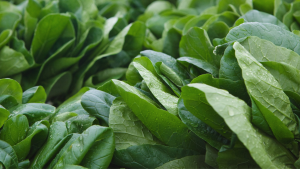 Ternyata Ini Alasan Kenapa Daun Bayam Wajib Masuk Daftar Menu Diet, Punya Kandungan Nutrisi Berlimpah 2 bayam daun
